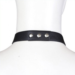 Generique Ensemble Panties avec harnais Simili